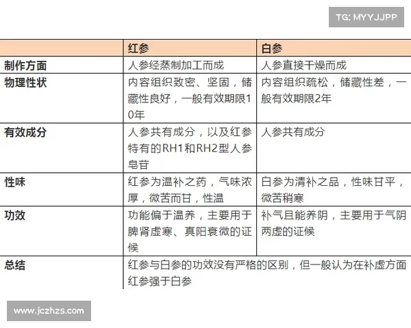 北美洲杯赛新手入门指南全面解析比赛规则技巧与参赛注意事项 北美洲杯赛新手入门指南全面解析比赛规则技巧与参赛注意事项